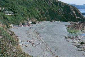 Portwrinkle Beach - Cornwall