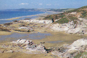 Whitsand Bay - Cornwall