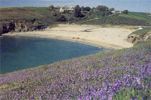 Poldhu Cove - Cornwall