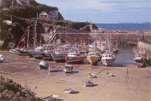 Harbour Beach - Newquay