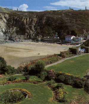 Trevaunance cove