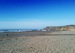 Widemouth Bay - 2011 © Naomi Nash