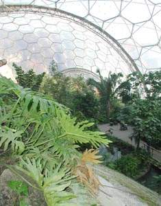 The Eden Project