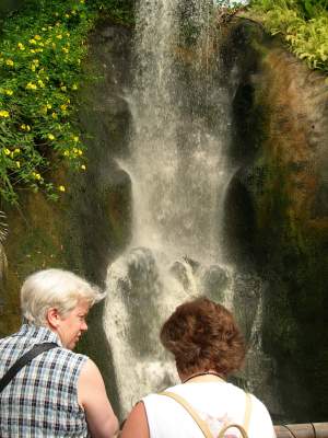 The Eden Project Cornwall