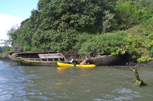 Koru kayaking