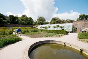 Formal garden pond at the Lost Gardens of Heligan Cornwall