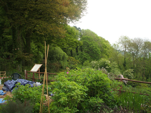 The Monkey Sanctuary, near Looe