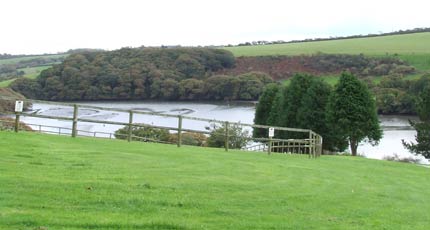 Cornwall Seal Sanctuary