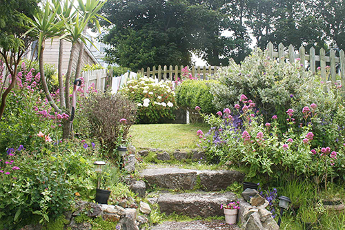  Annies by the Sea - Terraced garden - Holidays St Ives Cornwall