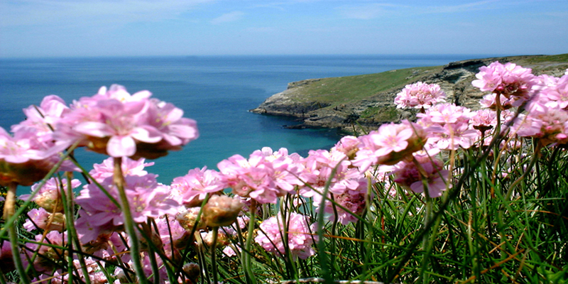 holidays in Tintagel Cornwall -l