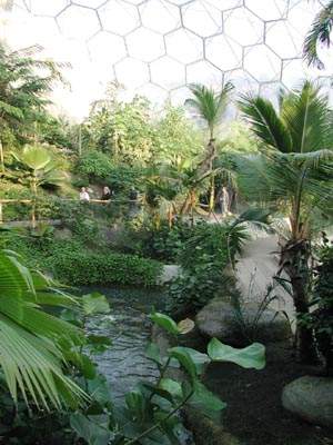 A view from the humid biome