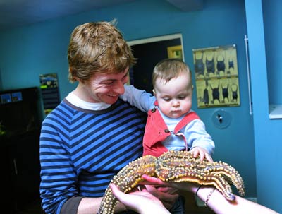 Falmouth Aquarium