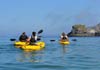  Koru Kayaking