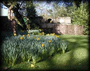 The Lost Gardens of Heligan