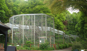 The Monkey Sanctuary, near Looe