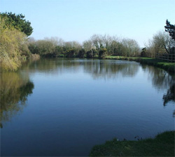 Notackle Required - Fishing in Cornwall