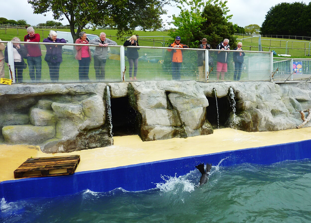 Cornish Seal Sanctuary Gweek Cornwall  - Cornwall wildlife attraction - Photo © Richard Cooke (cc-by-sa/2.0)