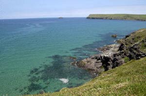 Polzeath Bay