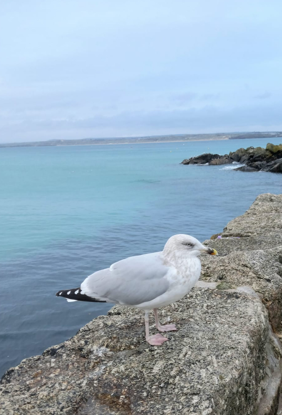 Porthmeor