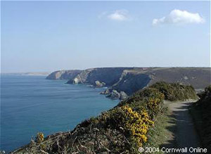 Coastal Path at St Agnes