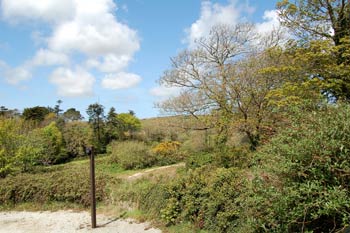 Self Catering Holiday Cottage - Gulval