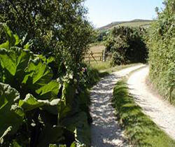 Holiday Cottage in St Agnes, Cornwall