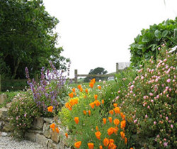 Holiday Cottage in St Agnes, Cornwall