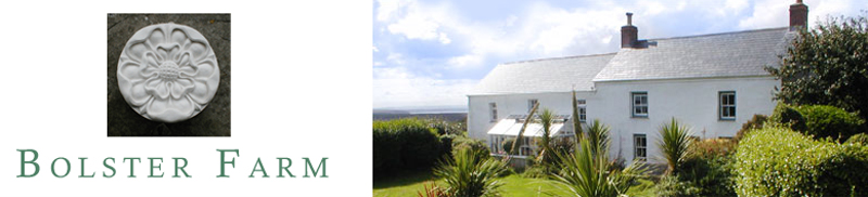 Holiday Cottage in St Agnes, Cornwall