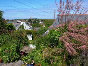 Tamarisk Cottage garden