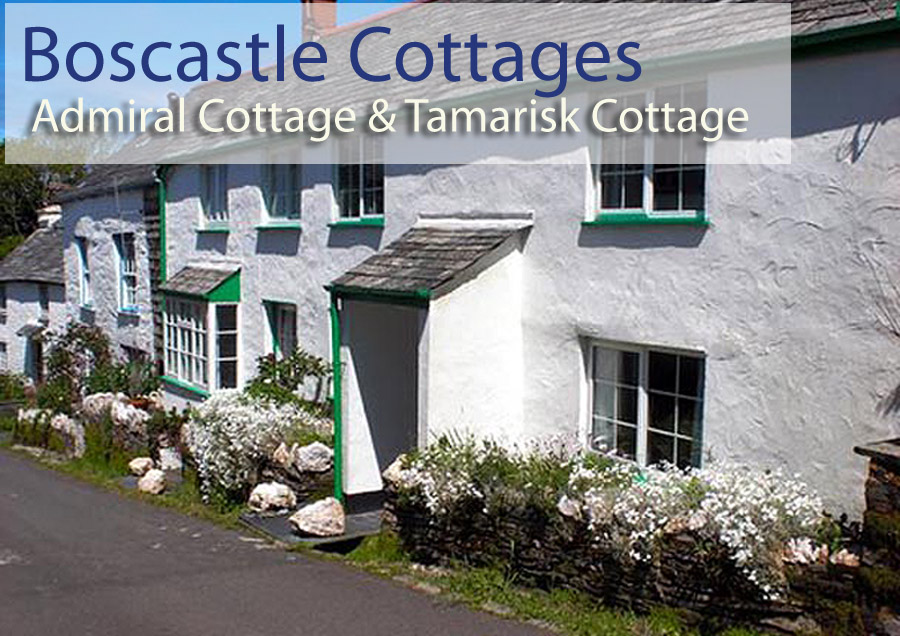 Boscastle Holiday Cottages 