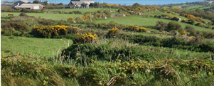 Boskednan Farm Bed and Breakfast