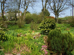 The Garden at Boskednan Farm