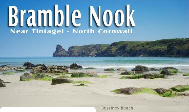 Bossiney Beach