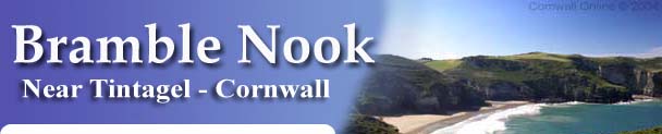 Self Catering Cottage - Tintagel - Bramble Nook
