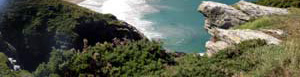 Self Catering Cottage - Tintagel - Bramble Nook