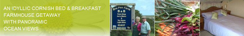 Bre-Pen Farm, B&B Mawgan Porth, Newquay B&B Holidays  Cornwall Cliff Top Wedding Venue