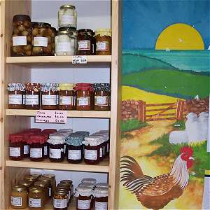 Bre-Pen Farm, Mawgan Porth