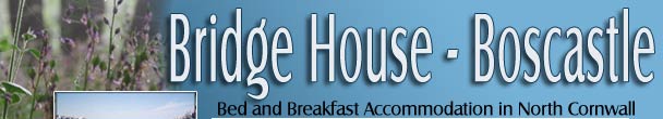 Bed and Breakfast