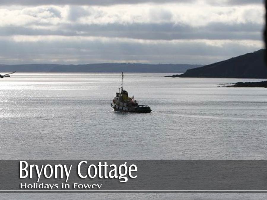 Bryony Holiday Cottage in Fowey   a wonderful place to stay