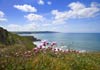 Beachmodern - Bude House