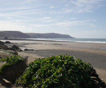 Widemouth bay at low tide