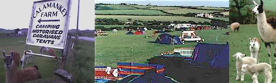 CALAMANKEY FARM - Camping and Holiday Caravans 