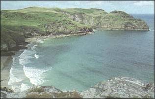 Bossiney Cove