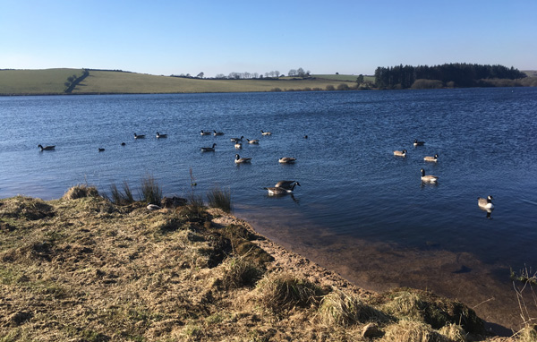  Siblyback Lake