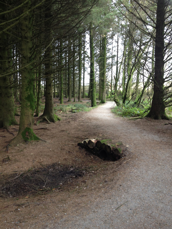 Cycle track on Siblyback Lake