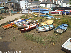 Calstock - Tamar Valley