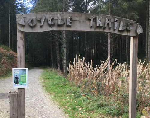 Cardinham Cycle trail