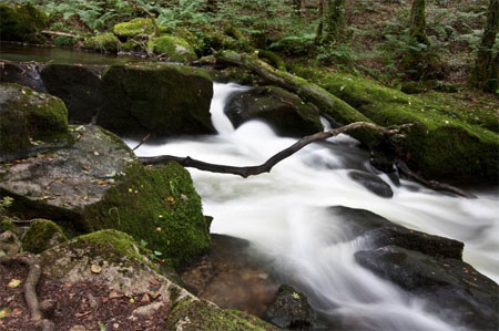 Golitha Falls on The River Fowey