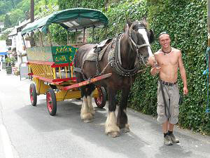 Polperro - Horse Bus, from main carpark to Village centre