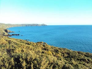 Whitsand Bay 2011 © Emily Clemens